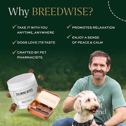 Calming Bites & Carrying Tin