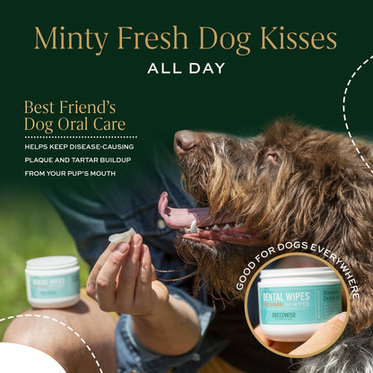 Breedwise Dental Wipes