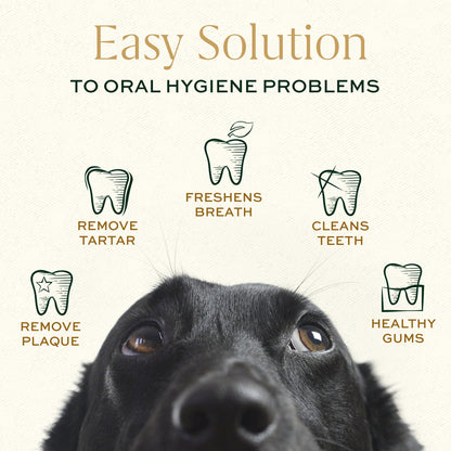 Breedwise Dental Wipes