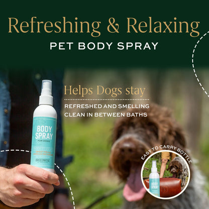 Body Spray (12 Bottles) Wholesale