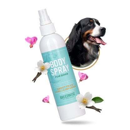 Body Spray (12 Bottles) Wholesale