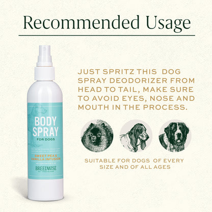 Body Spray (12 Bottles) Wholesale