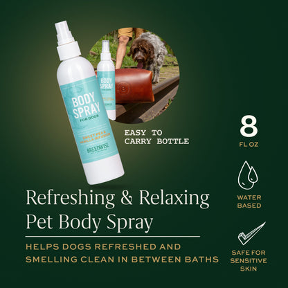 Body Spray (12 Bottles) Wholesale