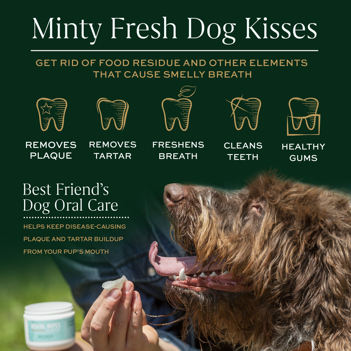 Breedwise Dental Wipes