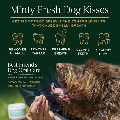 Breedwise Dental Wipes