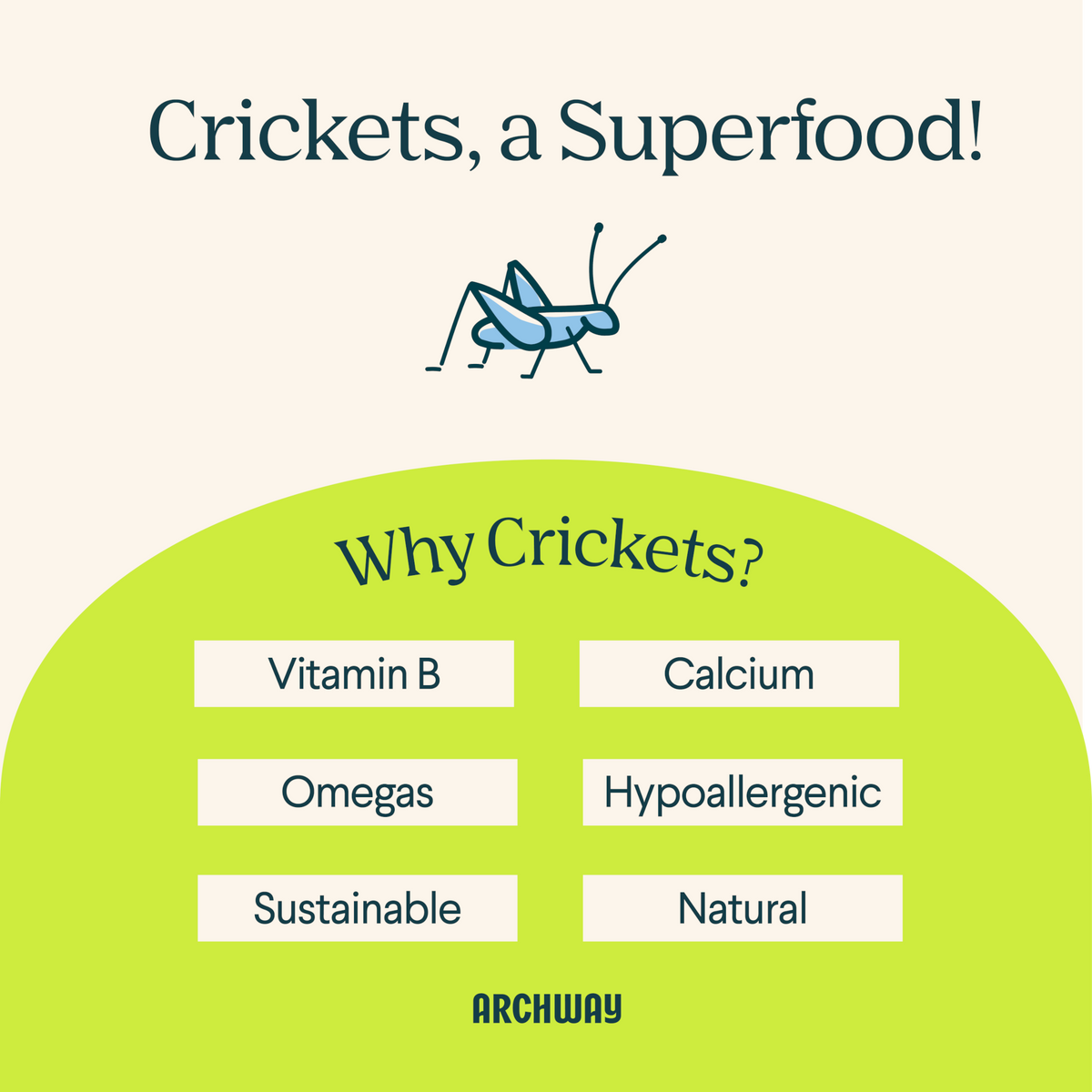 Peanut Butter Cricket Better Biscuit