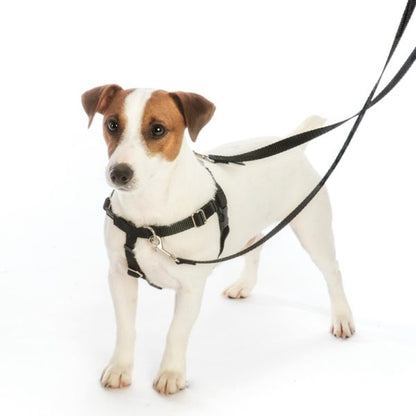 Mod Dots Freedom No-Pull Dog Harness – EarthStyle