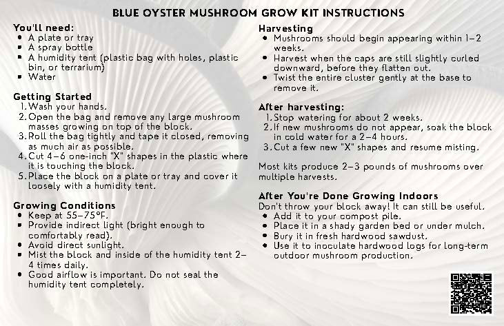 Blue Oyster Mushroom Grow Kit