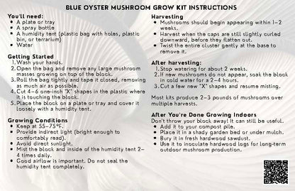 Blue Oyster Mushroom Grow Kit