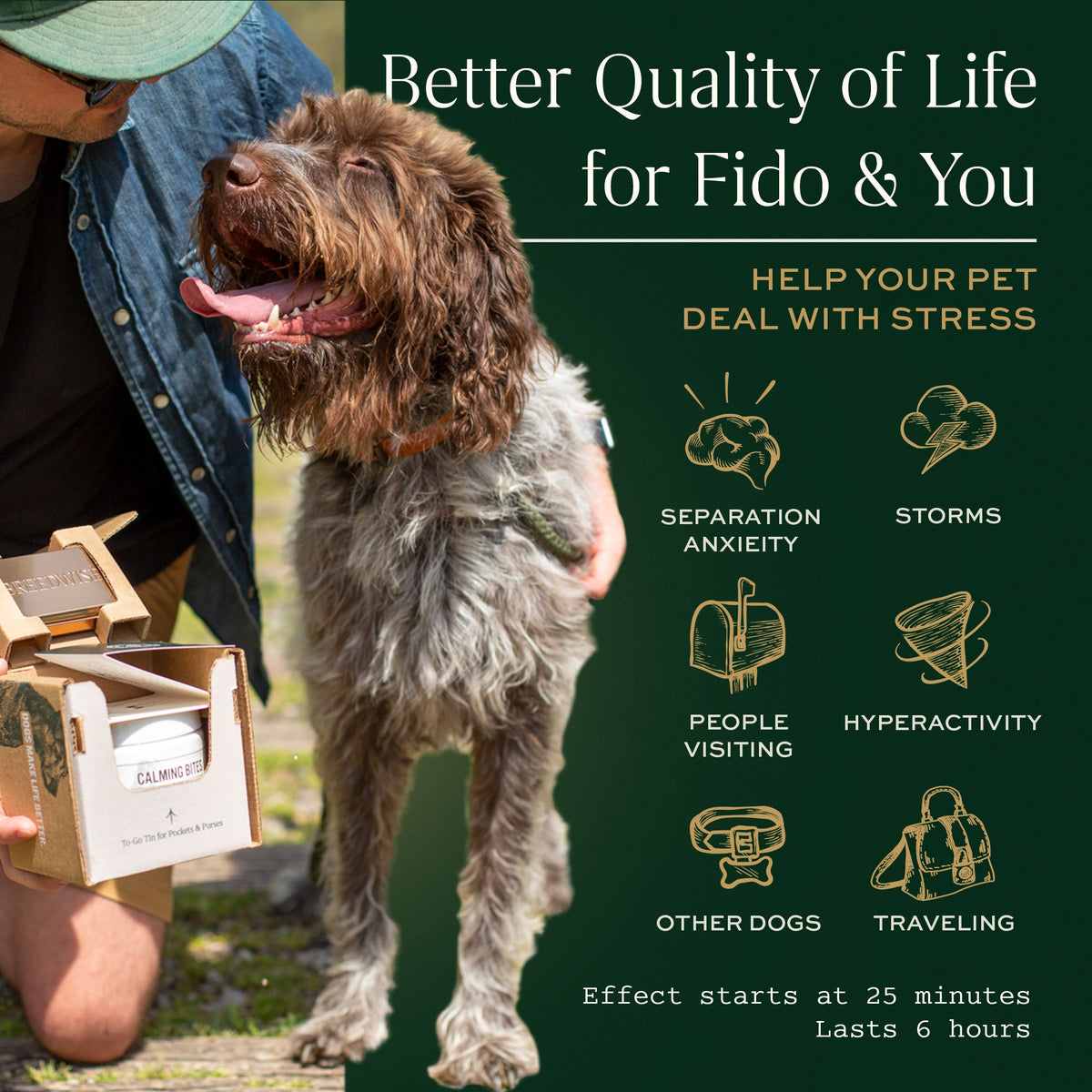 Calming Bites & Carrying Tin