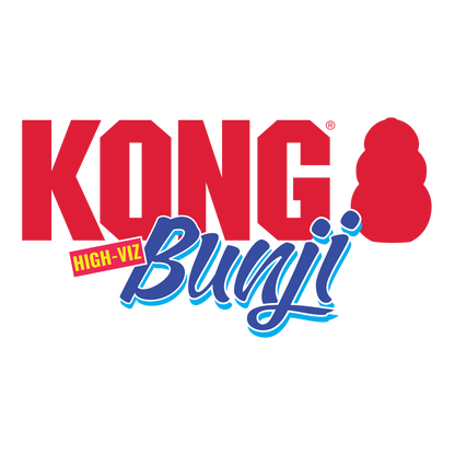 Kong Bunji High-Viz Ball Assorted