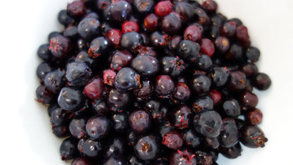 20 SASKATOON SERVICEBERRY aka Western, Pacific, Juneberry, Shadbush Amelanchier Alnifolia Native Edible Purple Berry Fruit White Flower Shrub Seeds