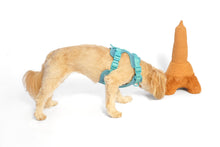 La Tour Eiffel Nose Work Dog Toy / Enrichment Toy