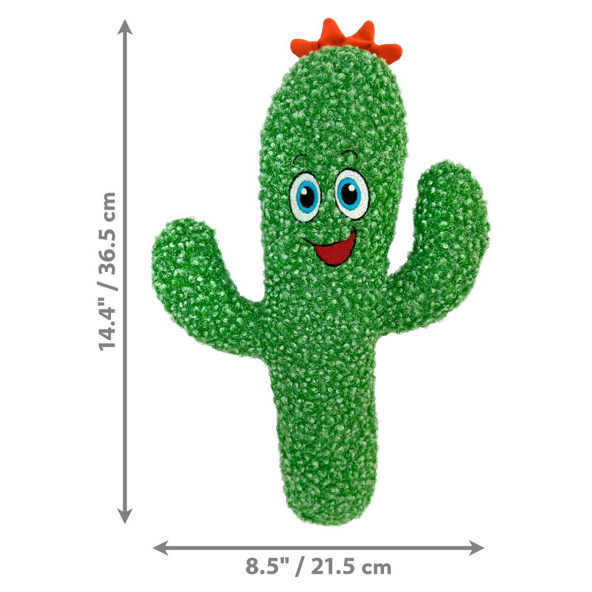 Kong Kickeroo Cactus