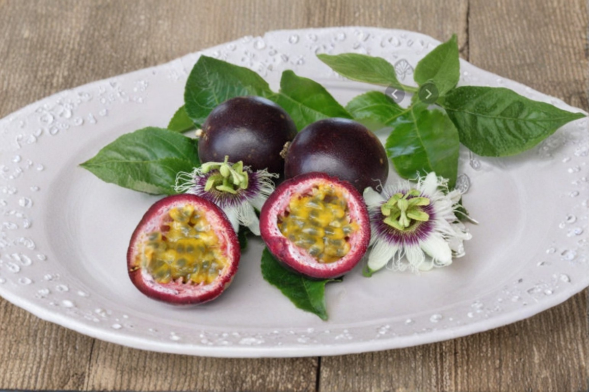 Dwarf Passionfruit Tree Seeds Rare Tropical Fruit Vine Seeds for Indoor Outdoor Garden Planting 20 Seeds USA Seller