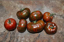 Chocolate Stripe Tomato Seeds USA Grown Heirloom Tomato Seeds Rich Mahogany Slicing Tomato Garden Planting 10 Seeds