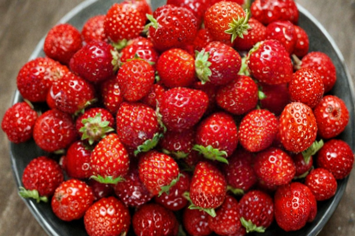 Dwarf Strawberry Seeds 30 Pack – Compact Edible Fruit Plant for Indoor Outdoor Garden – Fragaria × ananassa