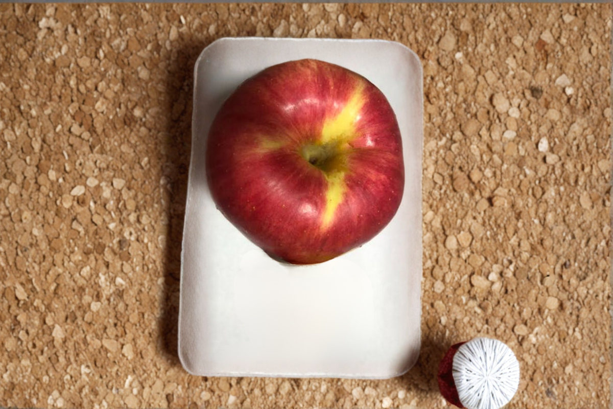 Jumbo Apple Tree Seeds – Open Pollinated Malus domestica for Home Garden & Orchard Planting