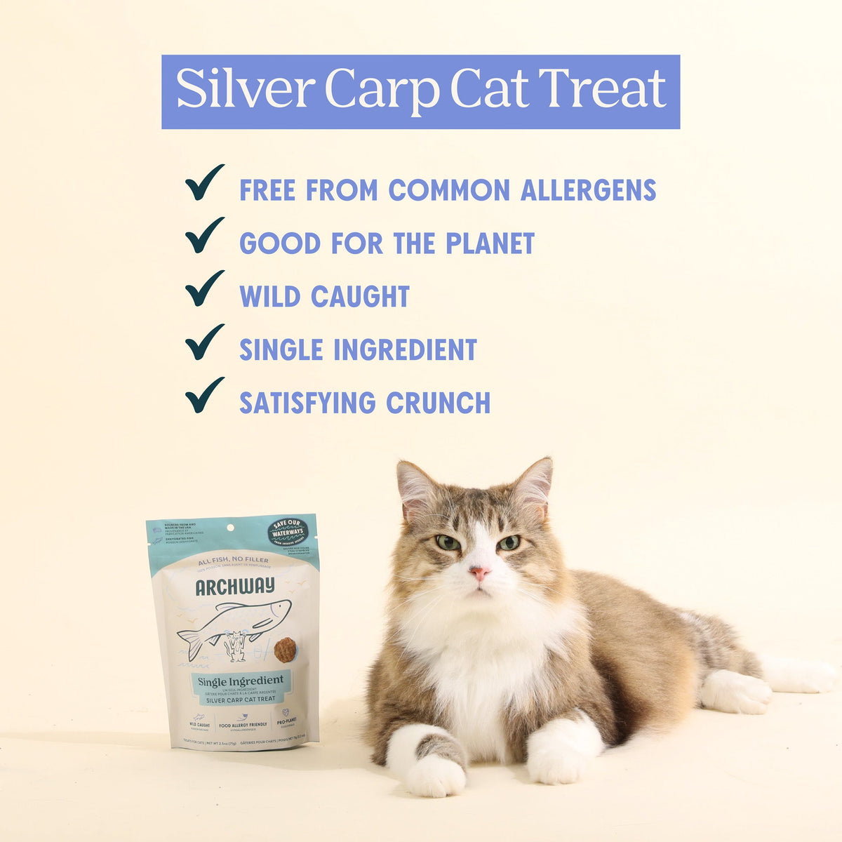 Silver Carp For Cats