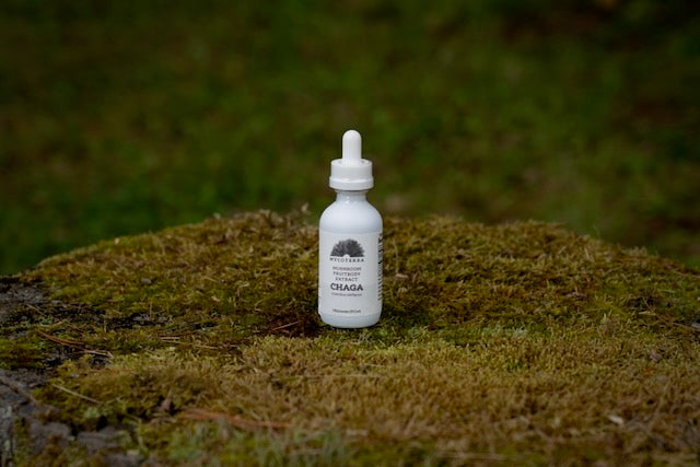 Organic Chaga Mushroom Tincture 2oz.