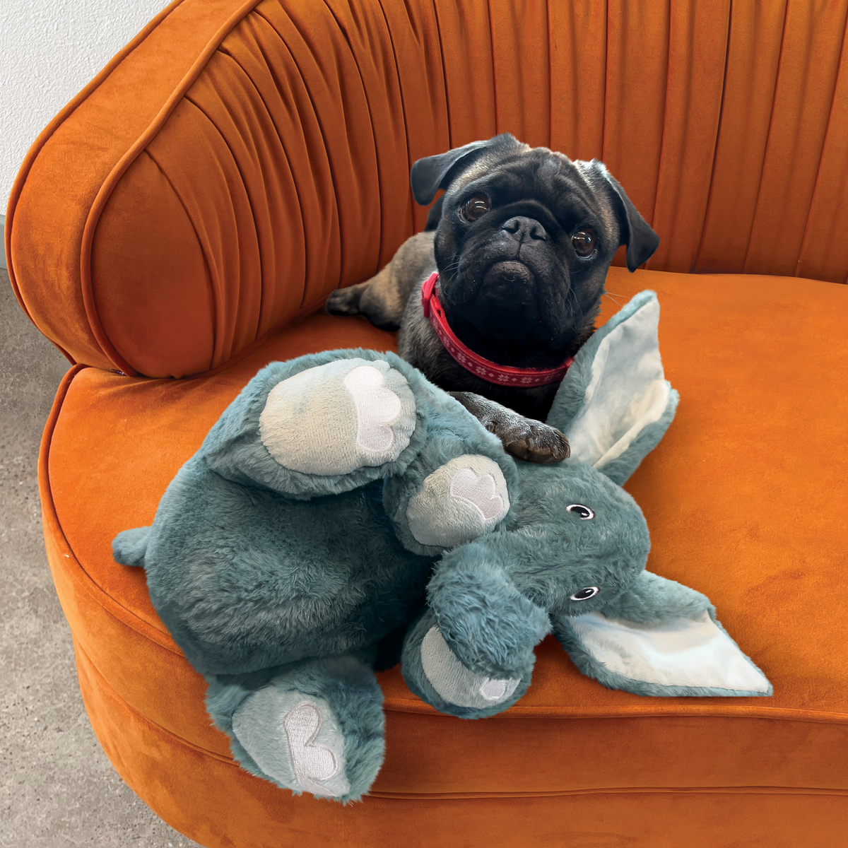 Kong Comfort Kiddos Jumbo Elephant