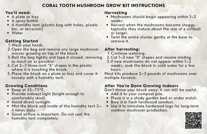 Coral Tooth Mushroom Grow Kit