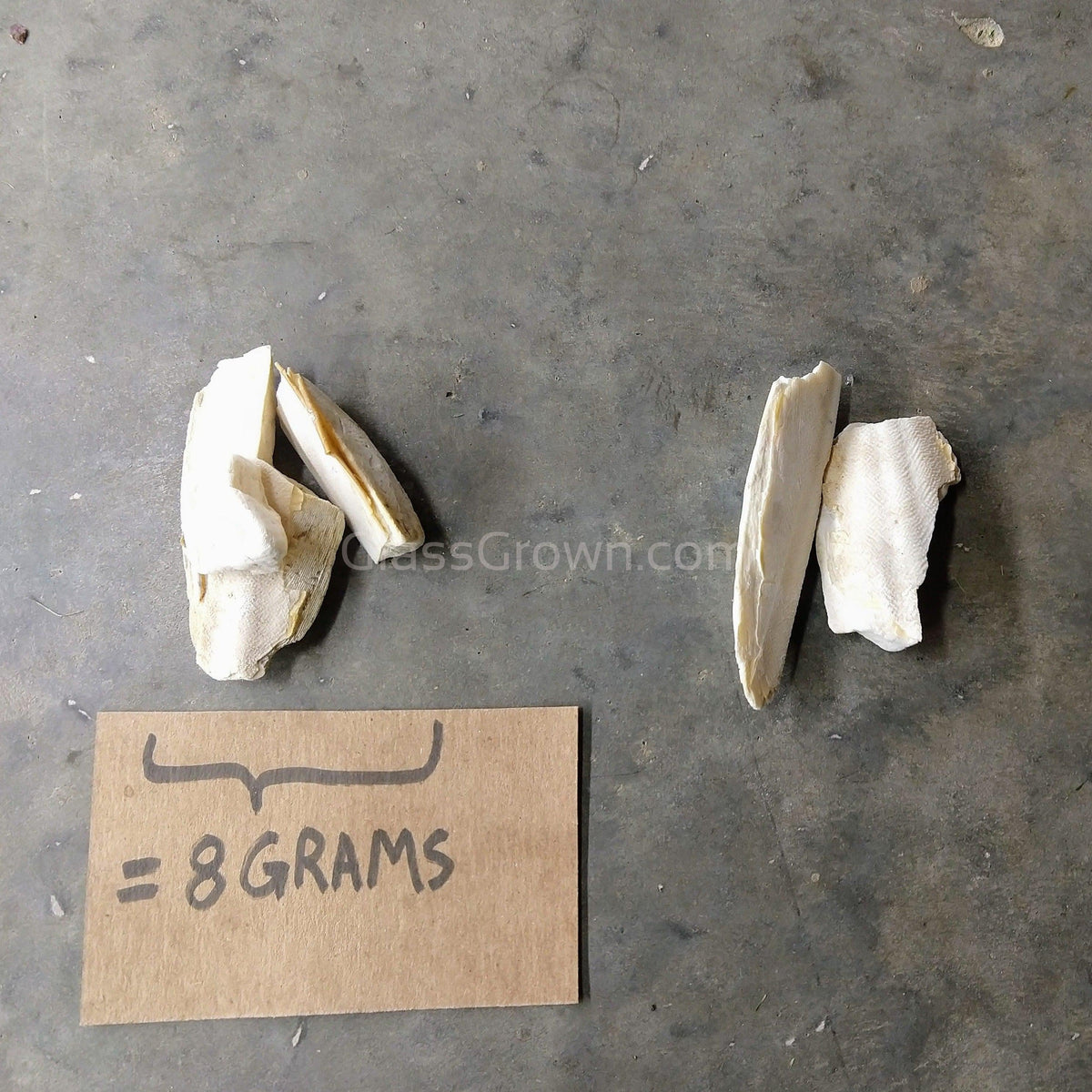 Cuttlebone by Weight