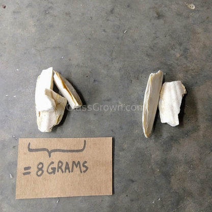 Cuttlebone by Weight