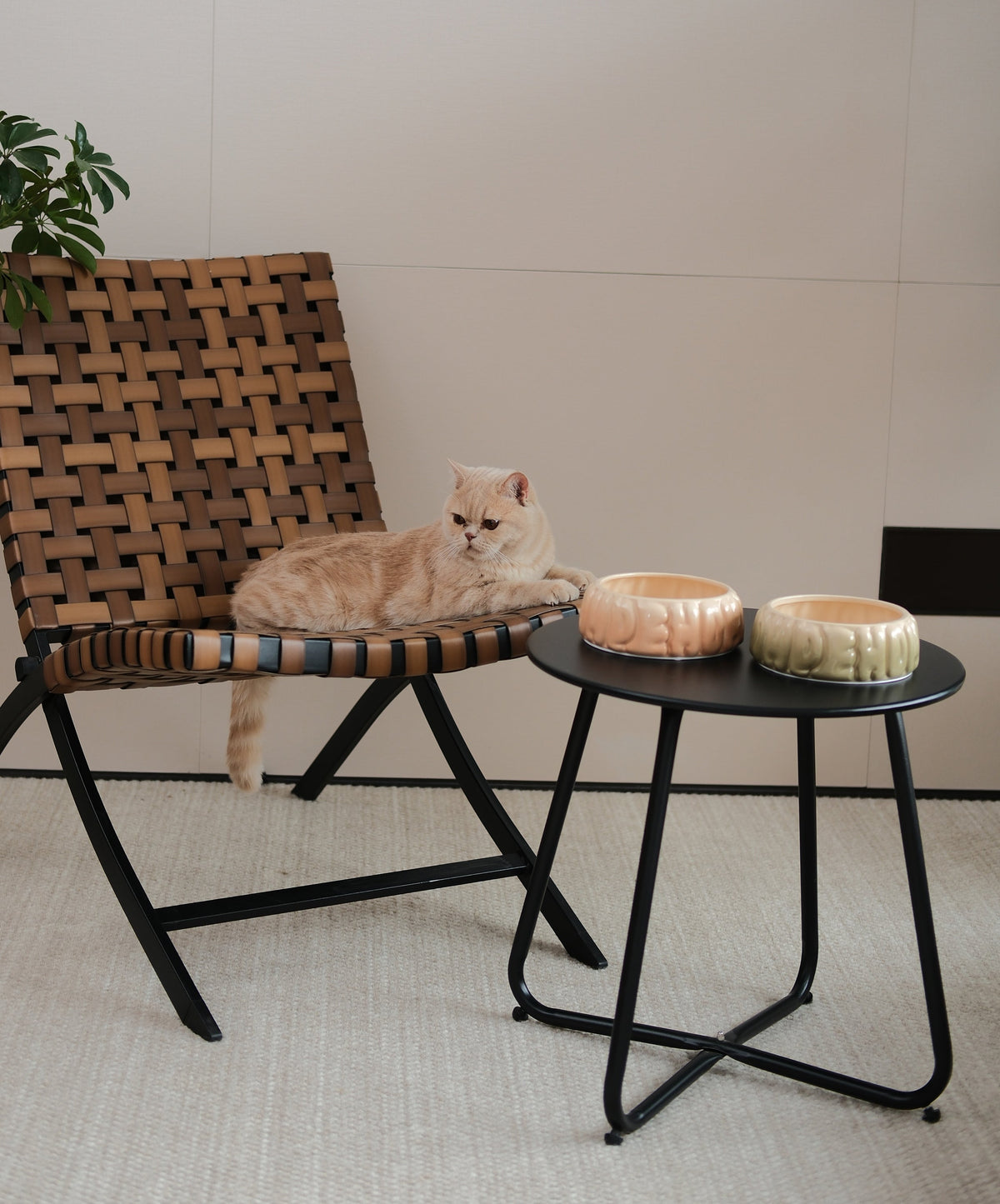 Puff Pet Bowl - Gradient Caramel