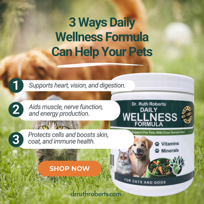 Daily Wellness Formula — Glandular-Free Multivitamin for Dogs & Cats with Beef, Pork, or Organ Sensitivities