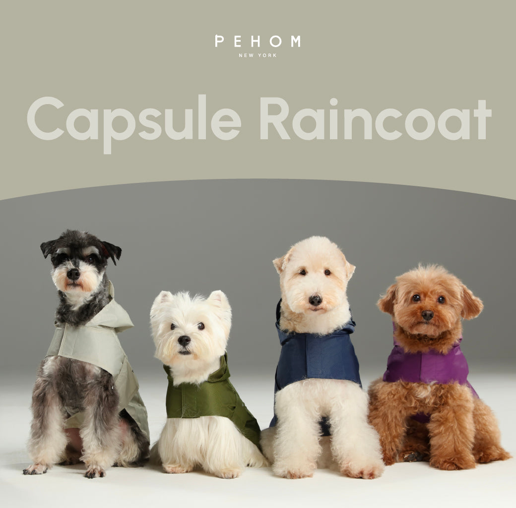 Capsule Raincoat - Green