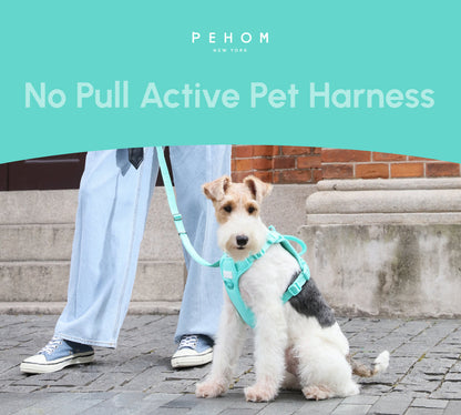 NO PULL ACTIVE  PET HARNESS - MINT GREEN