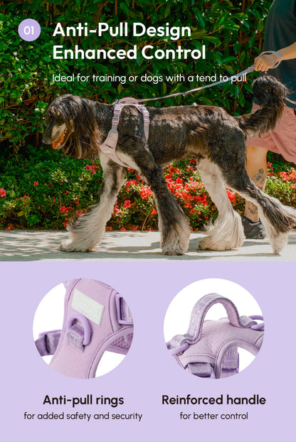 NO PULL ACTIVE  PET HARNESS - MINT PURPLE