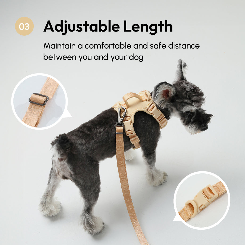 PADDED  ACTIVE  PET LEASH  - APRICOT