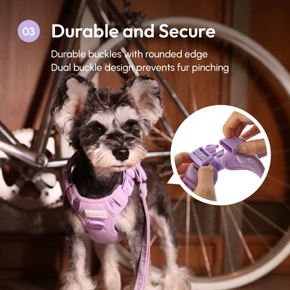 NO PULL ACTIVE  PET HARNESS - MINT PURPLE