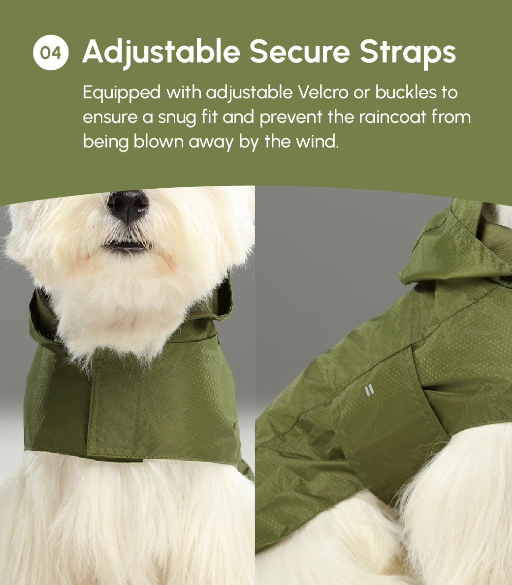 Capsule Raincoat - Beige
