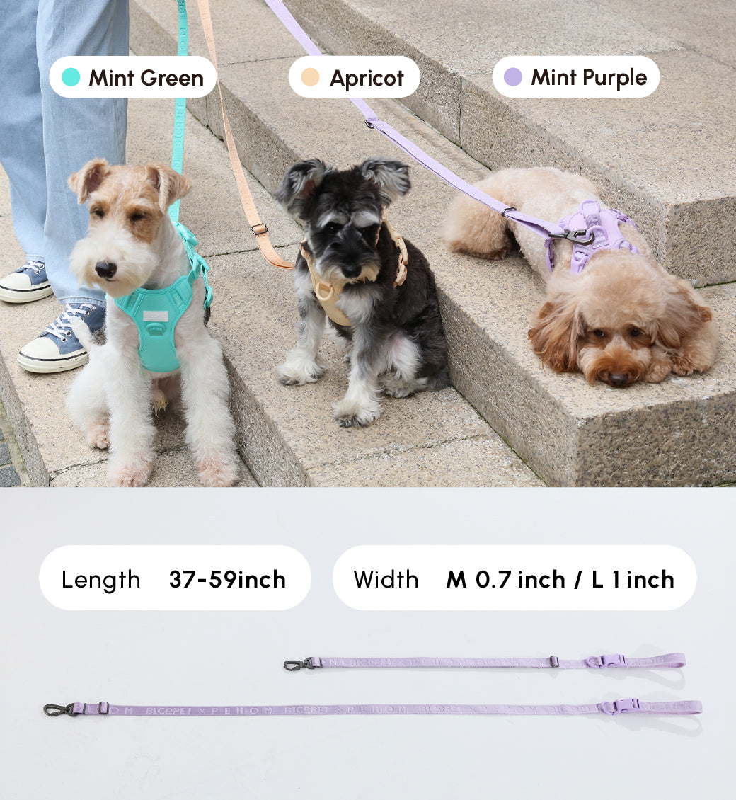 PADDED  ACTIVE  PET LEASH  - MINT PURPLE