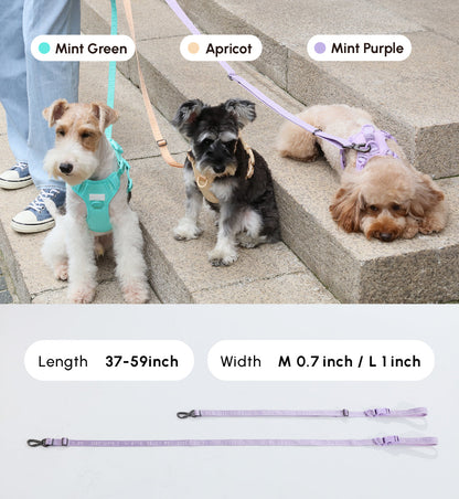 PADDED  ACTIVE  PET LEASH  - MINT PURPLE