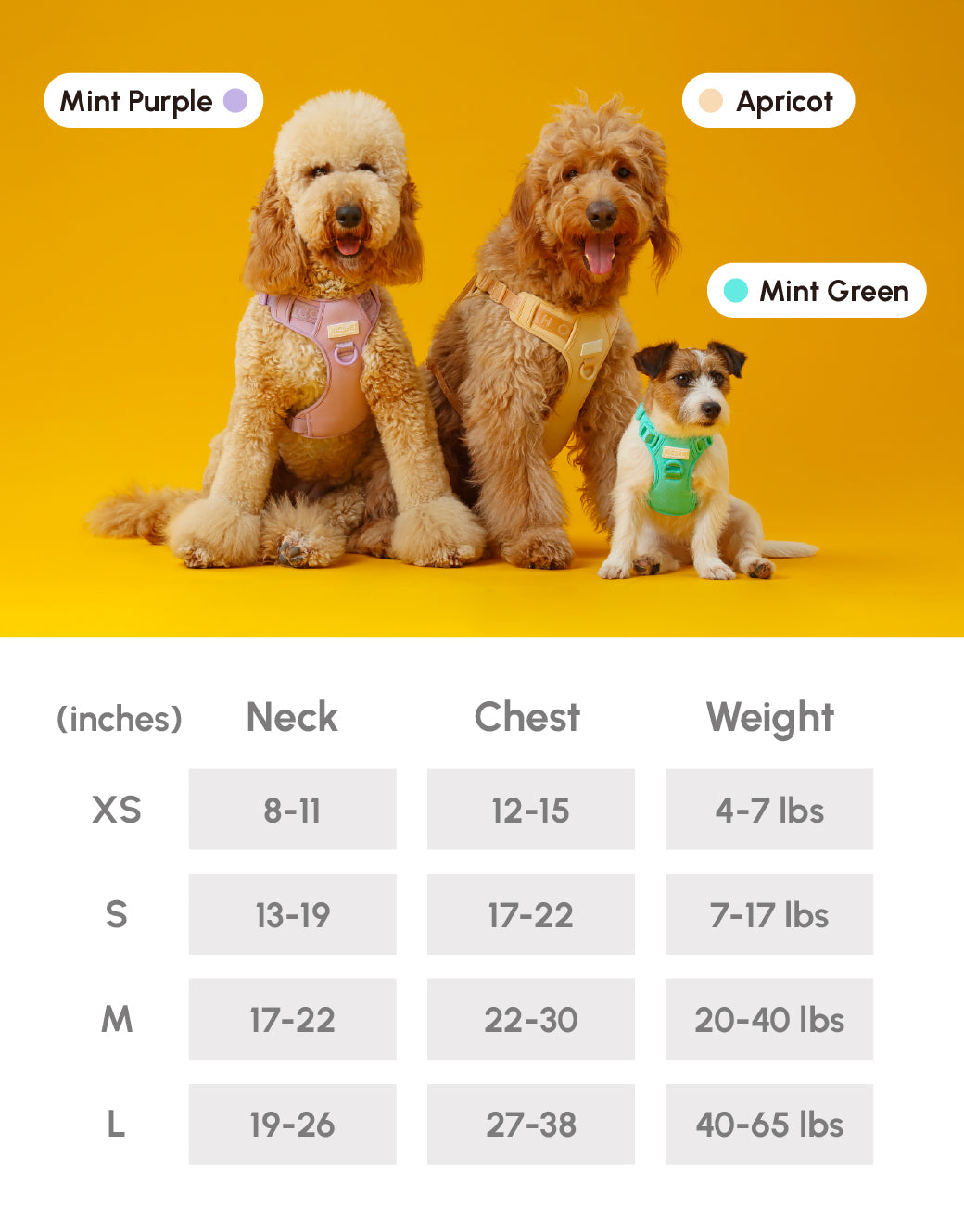 NO PULL ACTIVE  PET HARNESS - MINT PURPLE