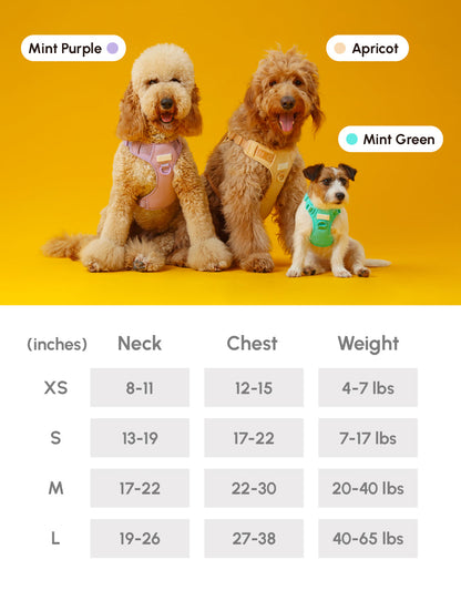 NO PULL ACTIVE  PET HARNESS - MINT PURPLE