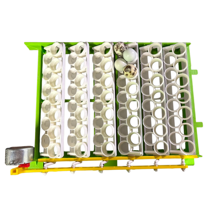 Jumbo Quail Egg Rails for Cimuka / Hatching Time CT120 – Full Set (24 Rails)