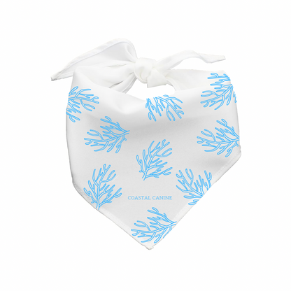 Coral Themed Dog Bandanna