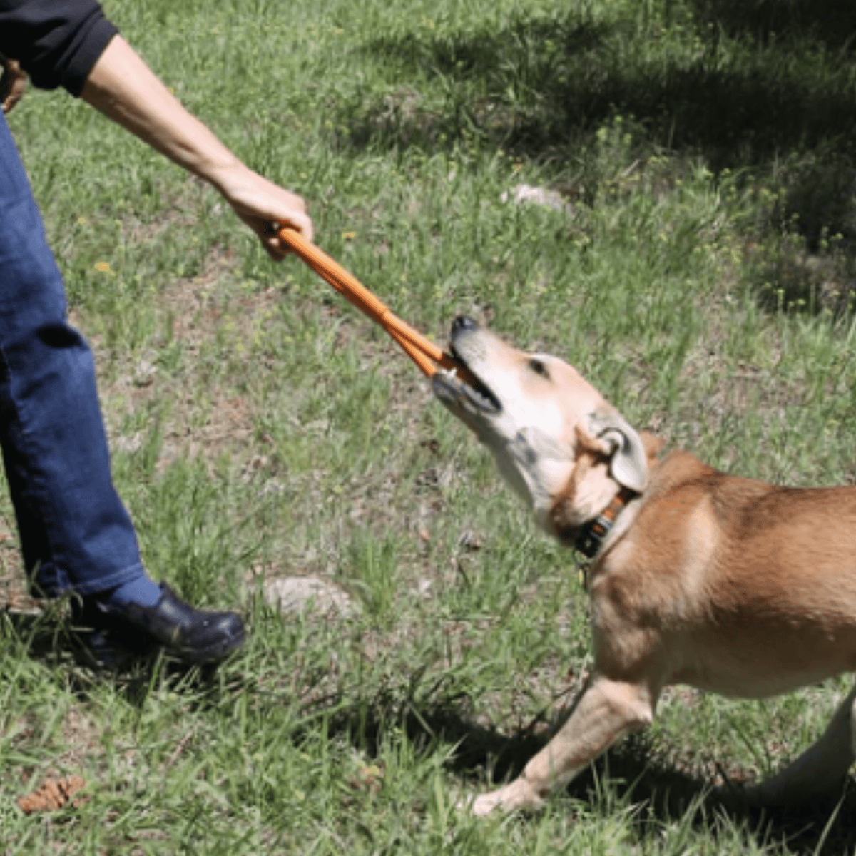 Tug Toys
