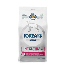 Forza10 Active Dog Intestinal (8.8lb)