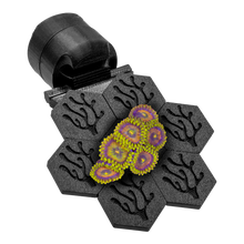 FragLoc™ - Magnetic Coral Frag Grow-Out Kit