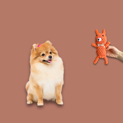 Handmade Eco-Fox Chew Rope Toys