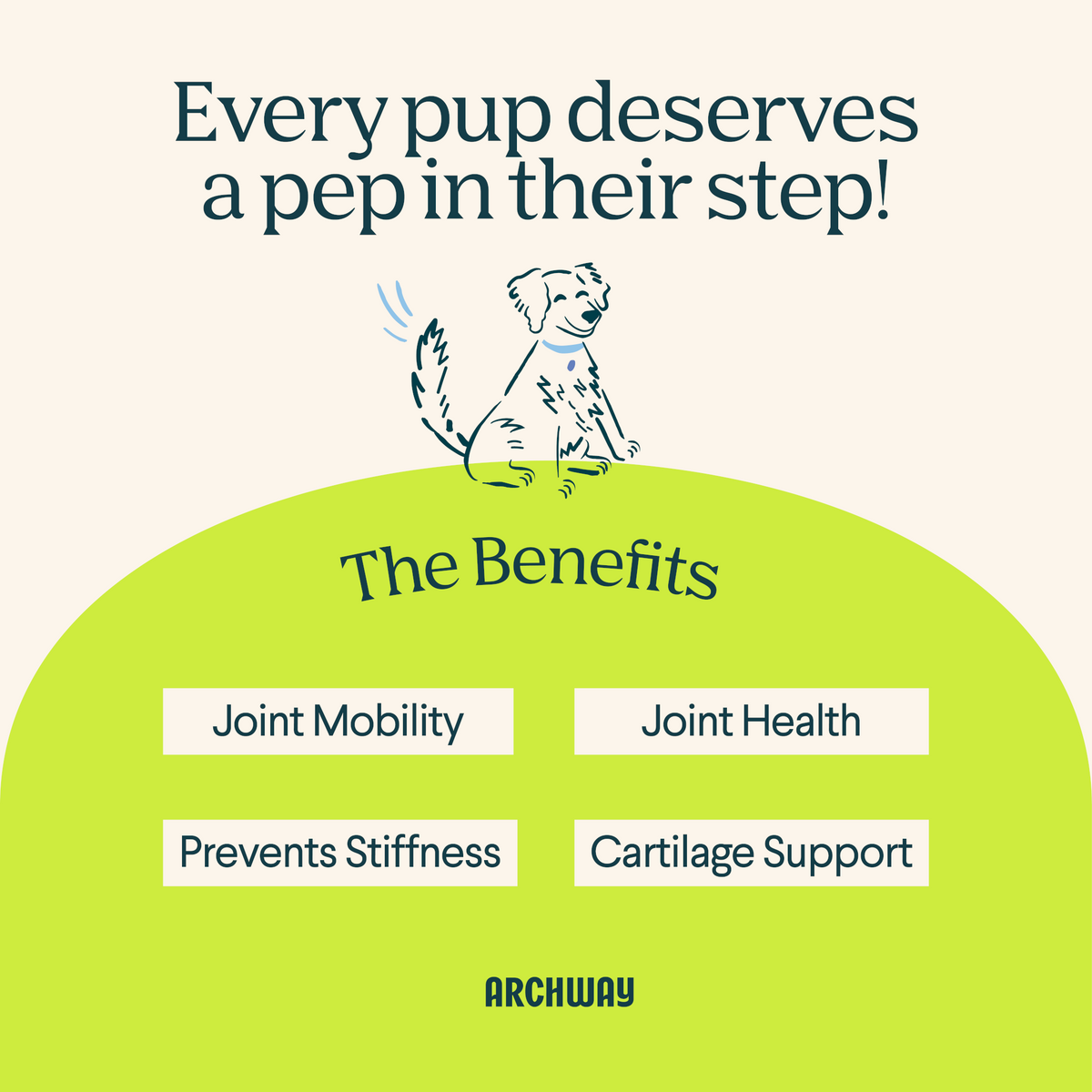 Hip & Joint Health