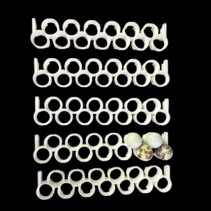 Jumbo Quail Egg Rails for Cimuka / Hatching Time CT60 – Full Set (12 Rails)