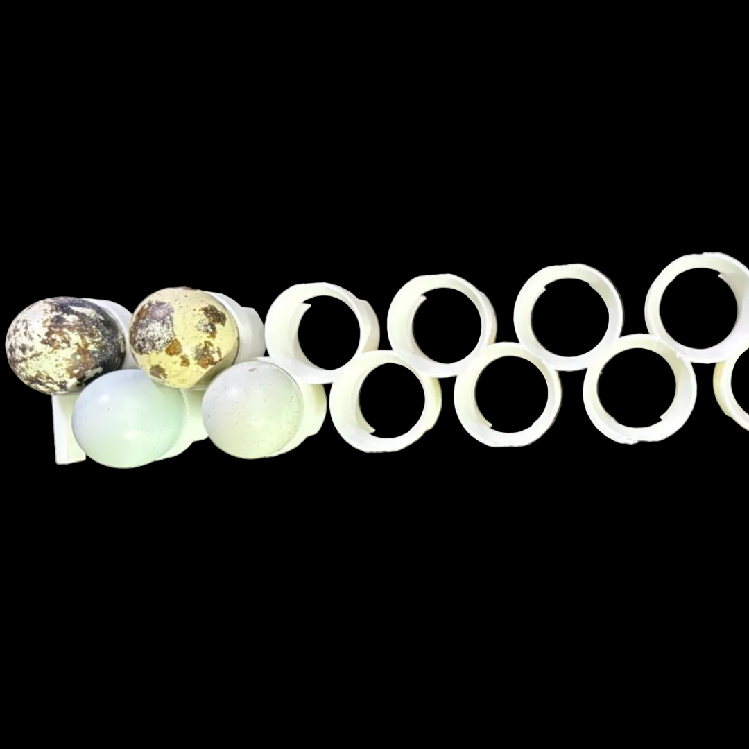 Jumbo Quail Egg Rails for Cimuka / Hatching Time CT60 – Full Set (12 Rails)