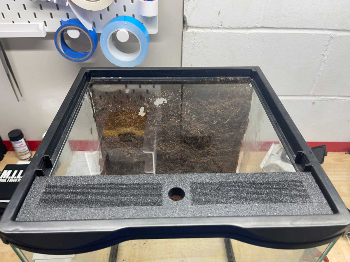 Custom Replacement Top for 18" Zoomed Terrariums – Humidity Retaining with Fly-Proof Ventilation